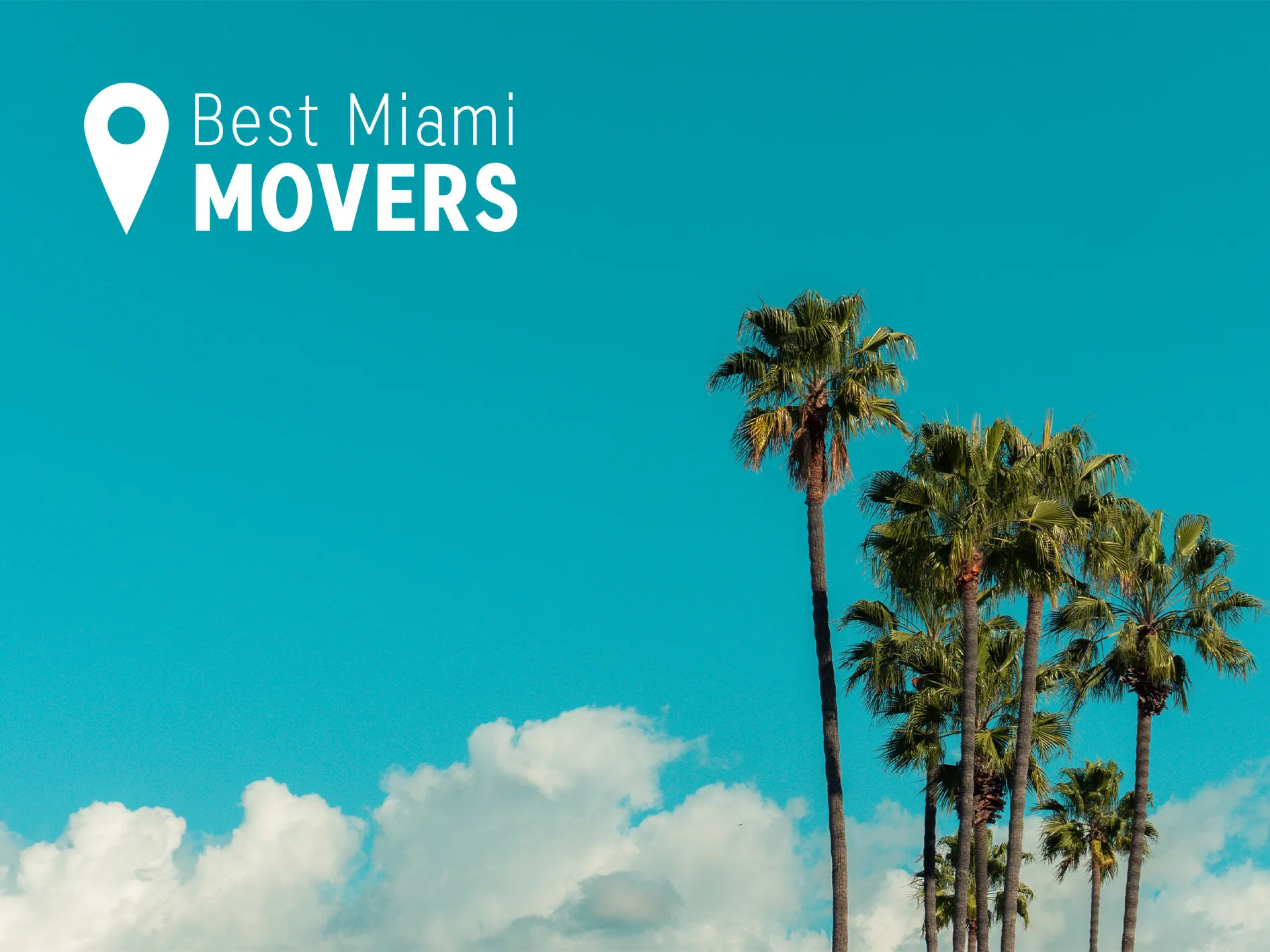 Best Miami Movers Palms Sky Summer