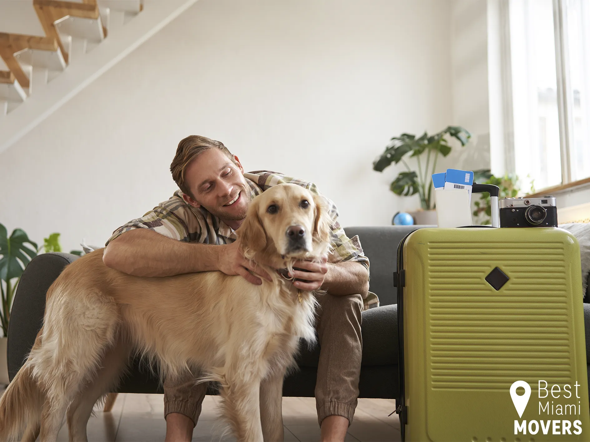 Best Miami Movers Customer Happy After Stress Free Moving Pet Friendly Services Dog