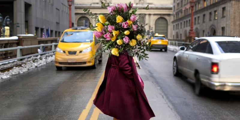 Spring Traffic Patterns DownTown Cars CrossLine Flowers