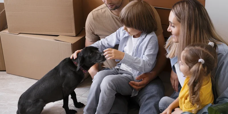 The Pet-Friendly Relocation Customer and Kids Have Fun With His Dog After Stress-Free Relocation